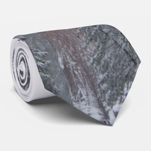 Algemene subsidiestructuur stropdas (Opgerold)