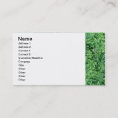 Algen groene ruggegraat - gepersonaliseerd visitek visitekaartje (Achterkant)