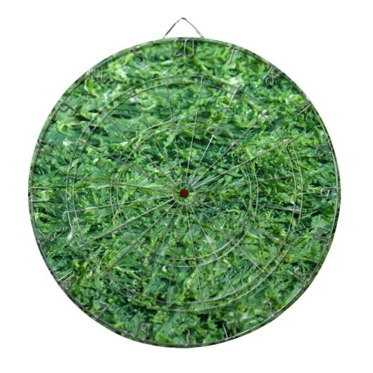 Algengroene achtergrond dartbord (Voorkant)