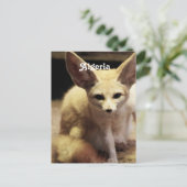 Algerije Fennec Fox Briefkaart (Staand voorkant)
