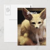 Algerije Fennec Fox Briefkaart (Voorkant / Achterkant)