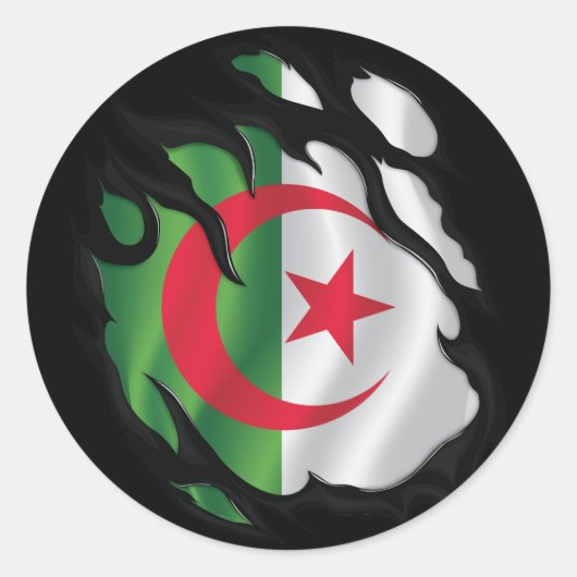 Algerije gescheurde vlag ronde sticker (Voorkant)