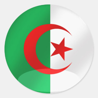 Algerije ronde vlag met chroom achtige reflecties sticker