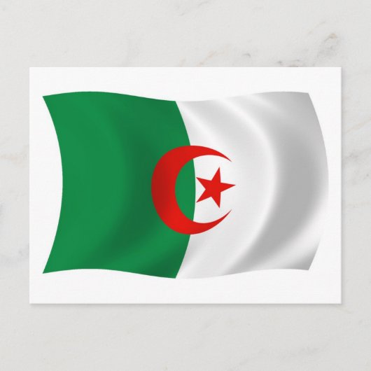 Algerije Vlag Ansichtkaart Briefkaart (Voorkant)
