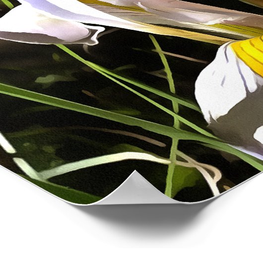 Algerijnse iris hyperrealistische verf van wilde b poster (Hoek)