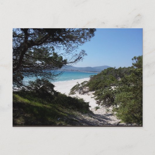 Alghero, Sardinien - Postkarte Briefkaart (Voorkant)