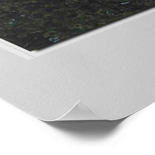 Algocape Poster (Hoek)