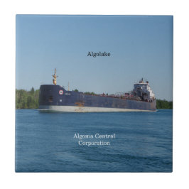 Algolake tegel tegeltje