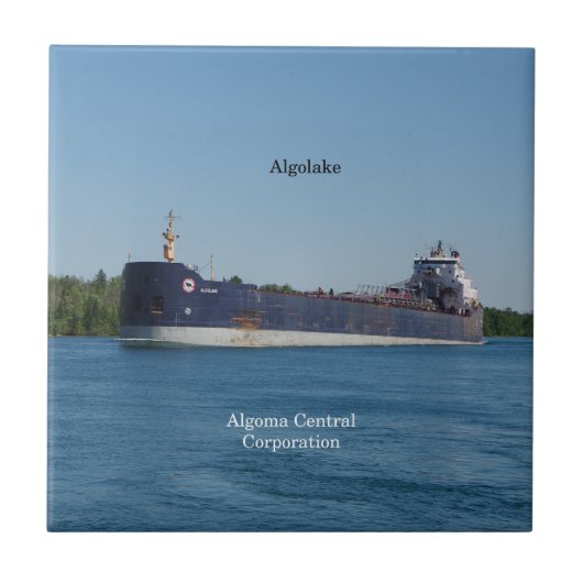 Algolake tegel tegeltje (Voorkant)