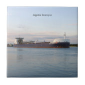 Algoma Conveyortiel Tegeltje (Voorkant)