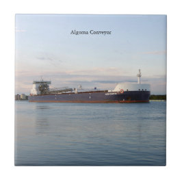 Algoma Conveyortiel Tegeltje