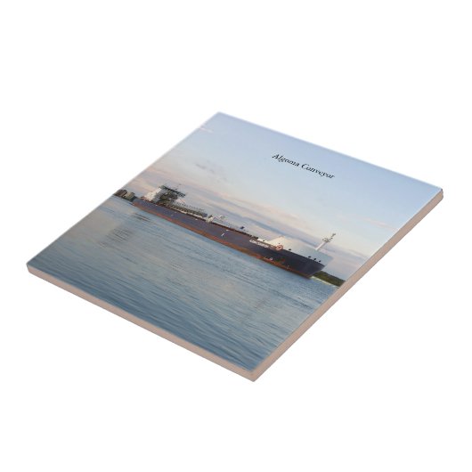 Algoma Conveyortiel Tegeltje (Zijkant)