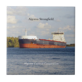 Algoma Strongfield tegel Tegeltje