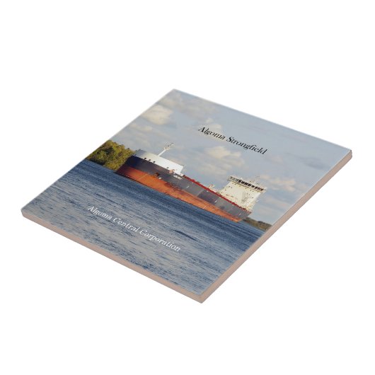 Algoma Strongfield tegel Tegeltje (Zijkant)