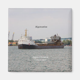 Algomarine magnet