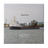 Algomarinetegel Tegeltje (Voorkant)