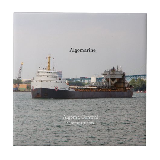 Algomarinetegel Tegeltje (Voorkant)