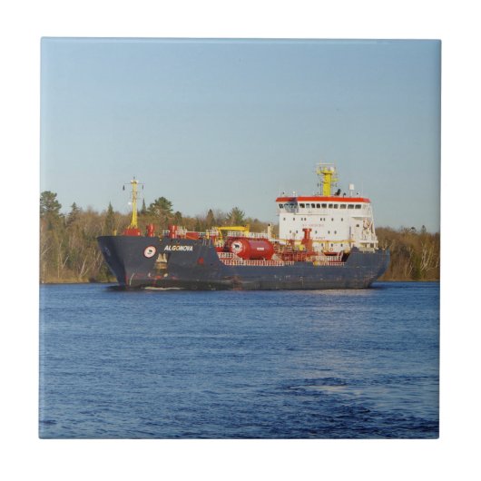 Algonetiel Tegeltje (Voorkant)