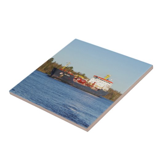 Algonetiel Tegeltje (Zijkant)