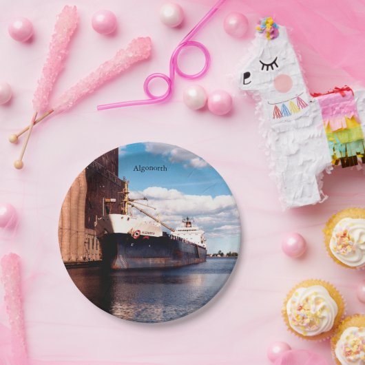 Algonorth papieren bord (Feest)