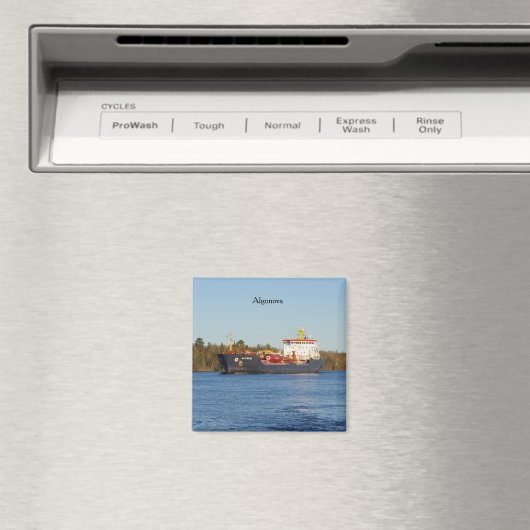 Algonova magnet (Insitu (Vaatwasser))