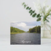Algonquin Beauty Briefkaart (Staand voorkant)