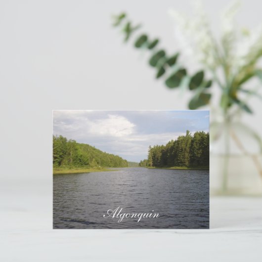 Algonquin Beauty Briefkaart (Staand voorkant)