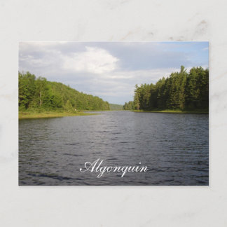 Algonquin Beauty Briefkaart