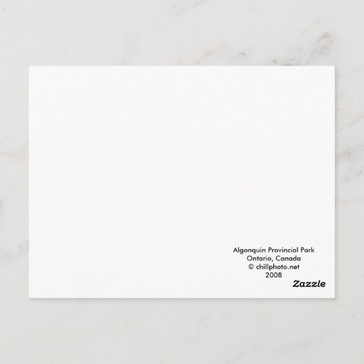 Algonquin Herfst Morning Briefkaart (Achterkant)