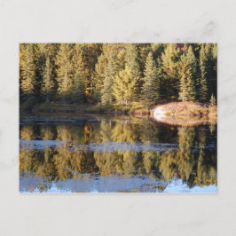 Algonquin Landscape Briefkaart