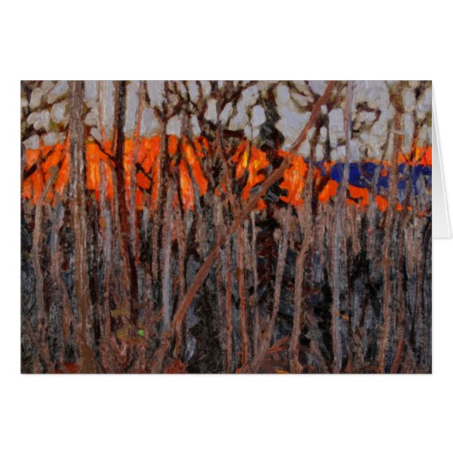 Algonquin Park (Voorkant Horizontaal)