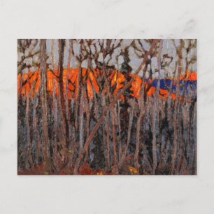 Algonquin Park Briefkaart