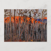 Algonquin Park Briefkaart (Voorkant)