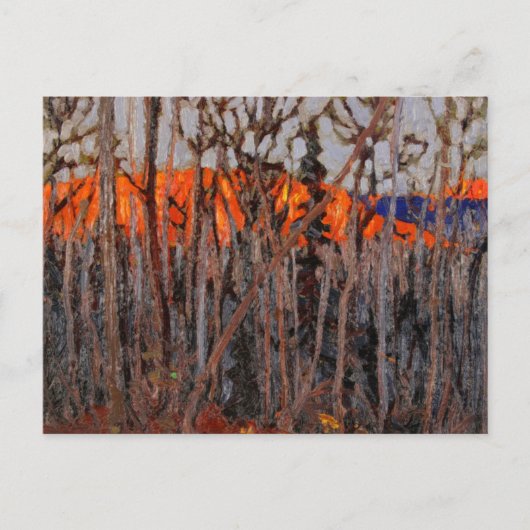 Algonquin Park Briefkaart (Voorkant)