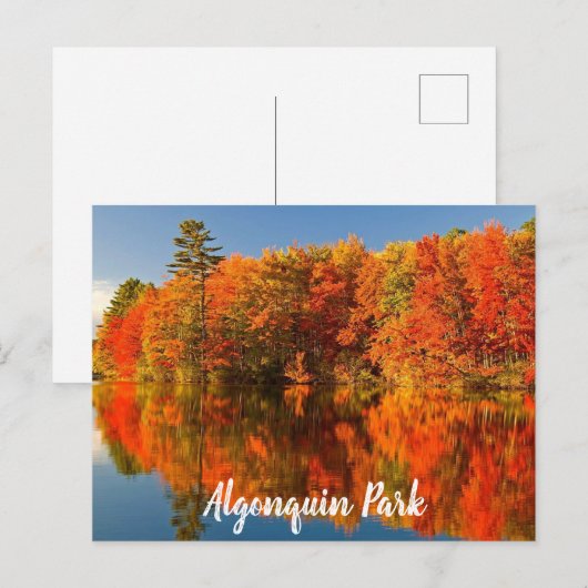 Algonquin Park Canada Herfst gestileerd Briefkaart (Voorkant / Achterkant)
