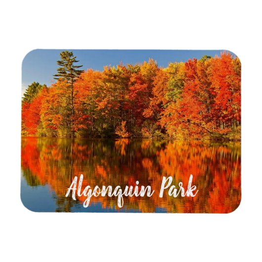 Algonquin Park Canada Herfst gestileerd Magneet (Horizontaal)
