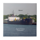 Algosar-tegel Tegeltje (Voorkant)