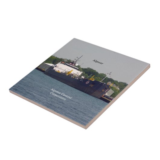 Algosar-tegel Tegeltje (Zijkant)