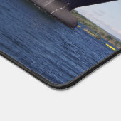 Algoscotia bureaumat (Hoek)