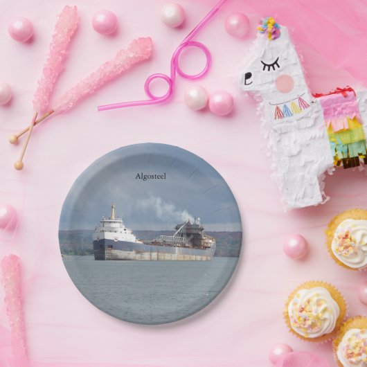 Algostaalpapier bord (Feest)