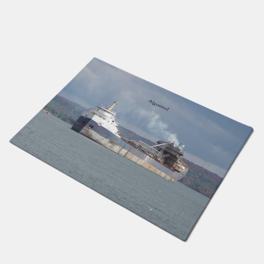 Algosteel doormat deurmat (Schuin)