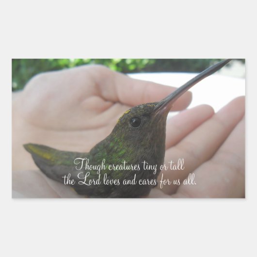 Alhoewel Creatures Hummingbird Rechthoekige Sticker (Voorkant)