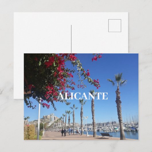 Alicante Briefkaart (Voorkant / Achterkant)
