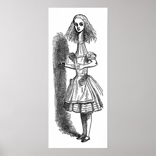 Alice Adventures in Wonderland door Tenniel Poster (Voorkant)