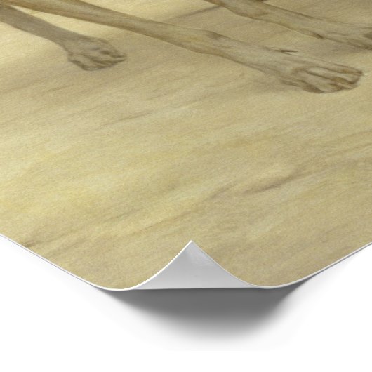 Alice Antoinette de la Mar van vijf jaar Poster (Hoek)