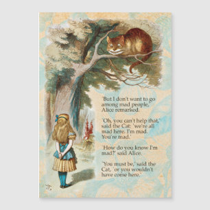 Alice Avonturen in Wonderland Cheshire Cat
