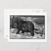 Alice B. Woodward: Briefkaart van elasmotherium (Voorkant / Achterkant)
