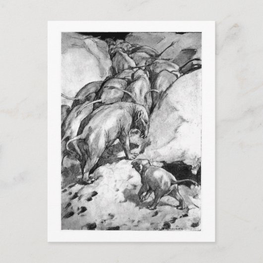 Alice B. Woodward: Briefkaart van moeritherium (Voorkant)