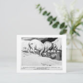Alice B. Woodward: Briefkaart van moeritherium (Staand voorkant)