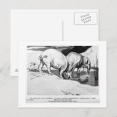 Alice B. Woodward: Briefkaart van moeritherium (Voorkant / Achterkant)